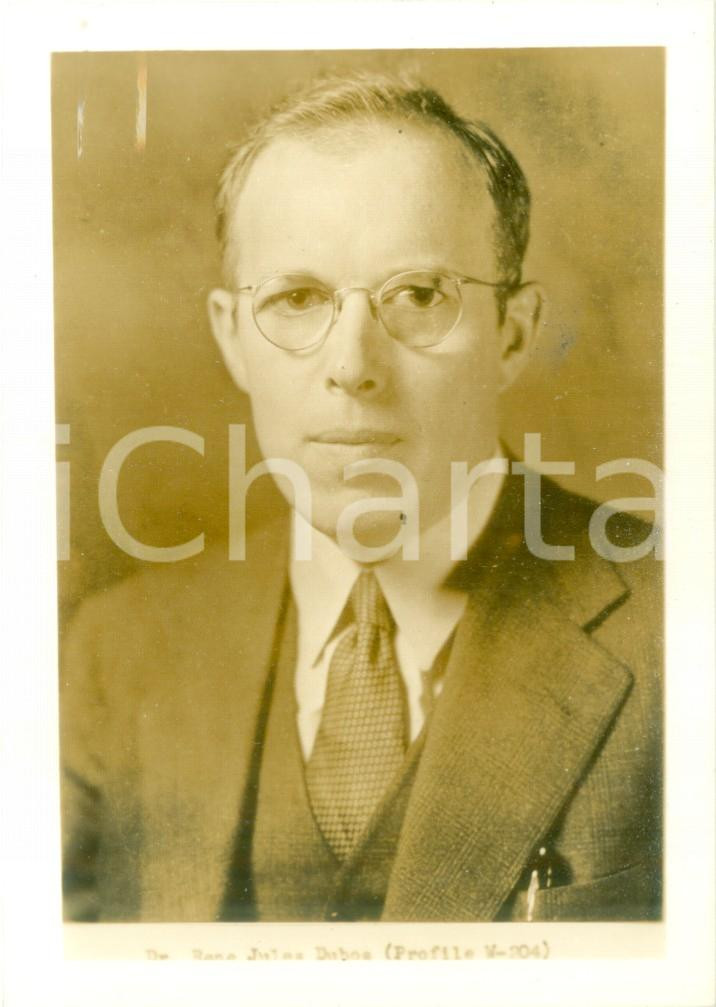 Fotografia d epoca originale 1955 ca NEW YORK Biologo René Jules DUBOS Fotografia 1 1