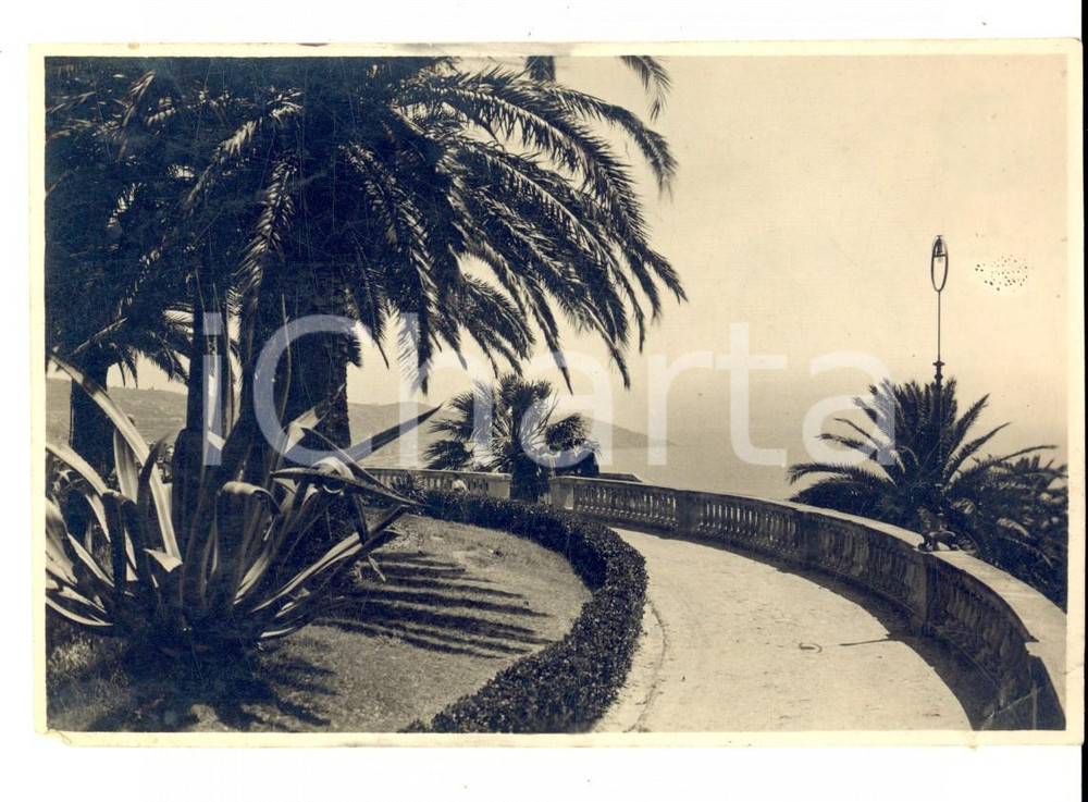 Fotografia d epoca originale 1930 ca SANREMO Veduta dal belvedere giardini REGINA ELENA Foto 14x9 VINTAGE 1