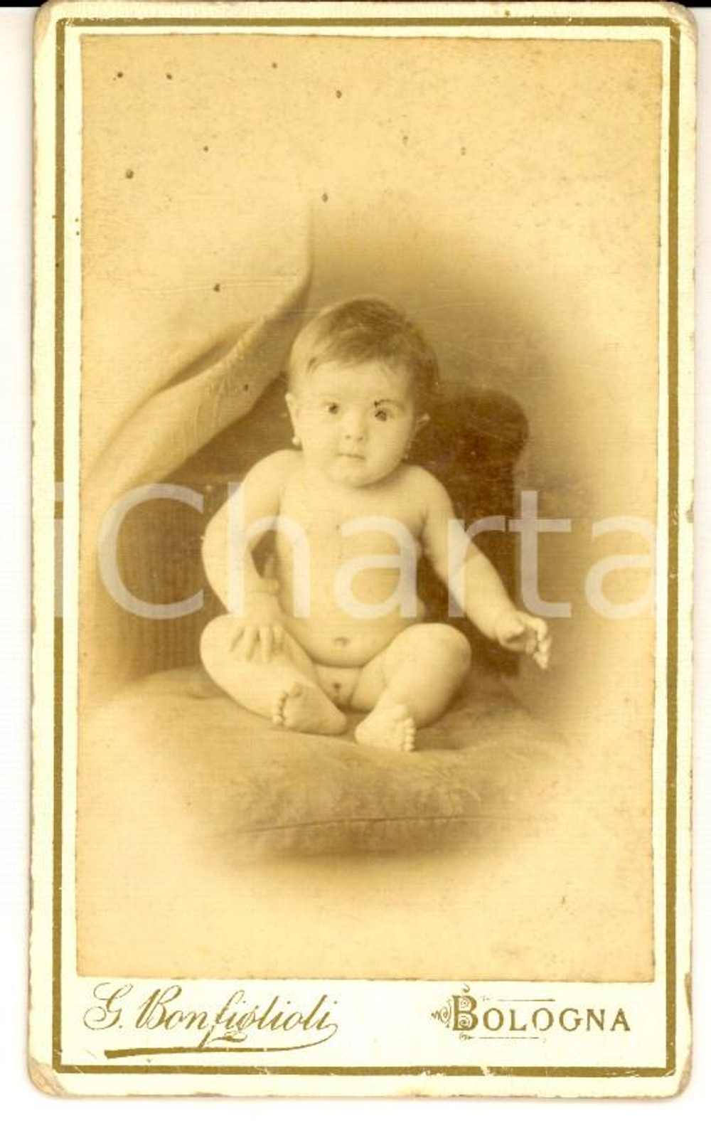 Fotografia d epoca originale 1880 ca BOLOGNA Ritratto di bambina di pochi mesi Foto BONFIGLIOLI CDV 1