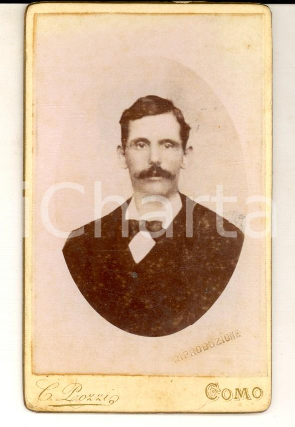 Fotografia d epoca originale 1900 ca COMO Ritratto maschile con cravatta scura Foto C. POZZI CDV 1