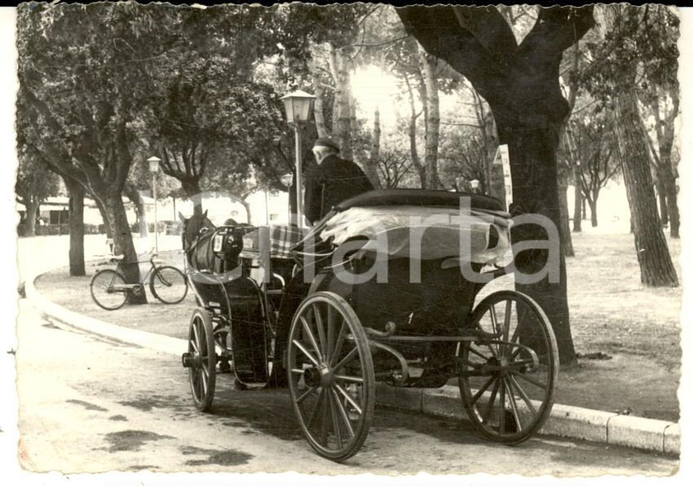 Fotografia d epoca originale 1950 ca MILANO ? Il guidatore di un calesse Foto ARTISTICA VINTAGE 10x7 1