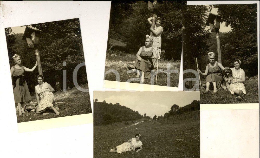 Fotografia d epoca originale 1950 ca ESINO LARIO Due escursioniste con barboncino Lotto 4 foto VINTAGE 15x10 1