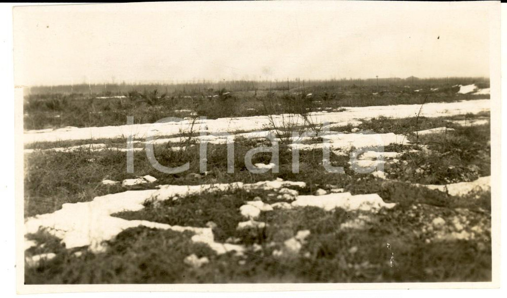 Fotografia d epoca originale 1940 ca AREA LOMBARDA La brughiera d inverno Foto artistica 14x8 cm 1