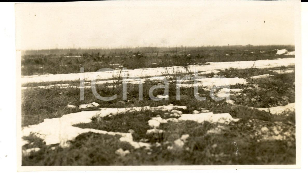 Fotografia d epoca originale 1940 ca AREA LOMBARDA La brughiera d inverno Fotografia artistica 14x8 cm 1
