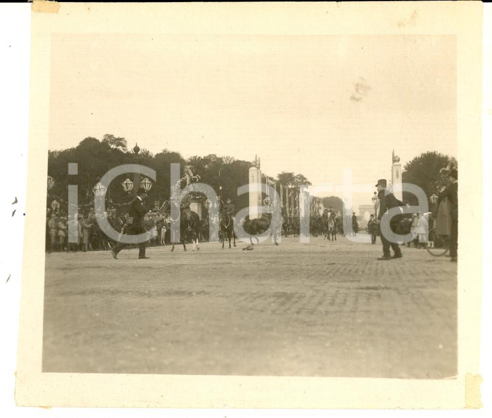 Fotografia d epoca originale 1919 PARIS FÃªtes de la Victoire  Parata militare alle TUILERIES Foto 12x11 1