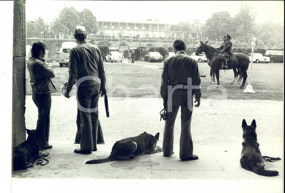Fotografia d epoca originale 1980 ca MILANO Forze dell ordine in pattuglia con cani e cavalli Foto COSTUME 1