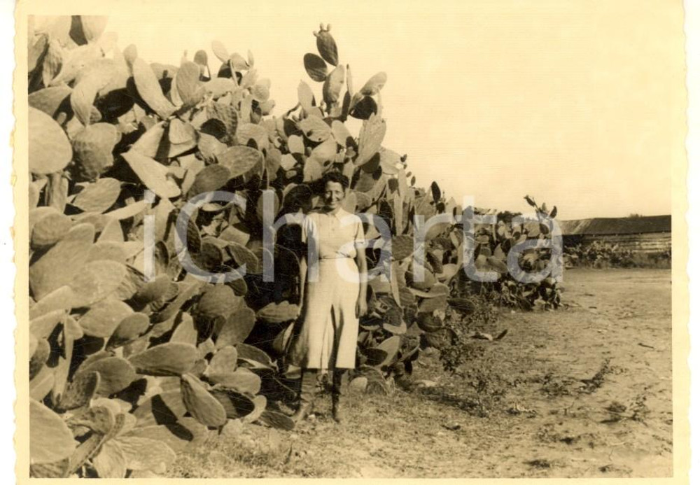 Fotografia d epoca originale 1937 AOI BALAD SOMALIA Giovane italiana tra i fichi d india Foto 11x8 1