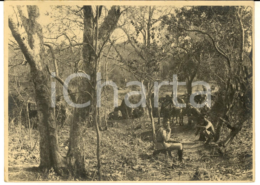 Fotografia d epoca originale 1940 ca AFRICA ORIENTALE ITALIANA Truppe coloniali nella boscaglia Foto 18x13 1
