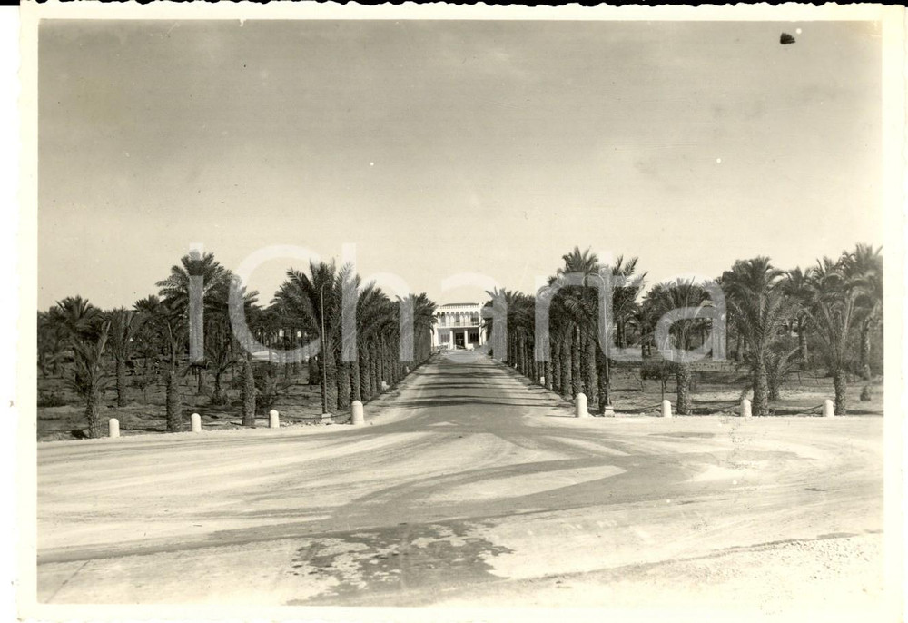 Fotografia d epoca originale 1930 ca TRIPOLITANIA Palazzo coloniale con giardino di palme Foto 16x11 1