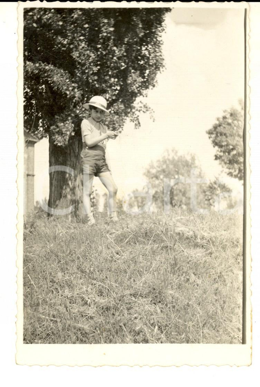 Fotografia d epoca originale 1940 ca AREA TOSCANA Ritratto di un piccolo cacciatoreFoto cartolina VINTAGE 1