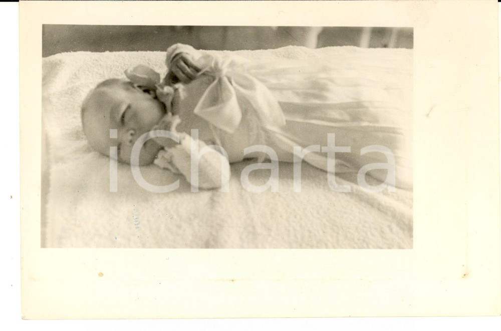 Fotografia d epoca originale 1938 BAARN NL Principessa Beatrice d Olanda neonata Foto riproduzione 18x12 1