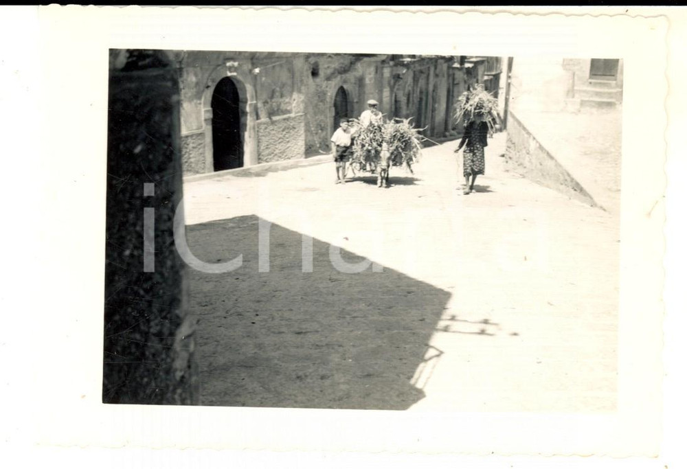 Fotografia d epoca originale 1960 ca SICILIA Ritratto di famiglia con carretto e fascine Foto VINTAGE 12x10 1
