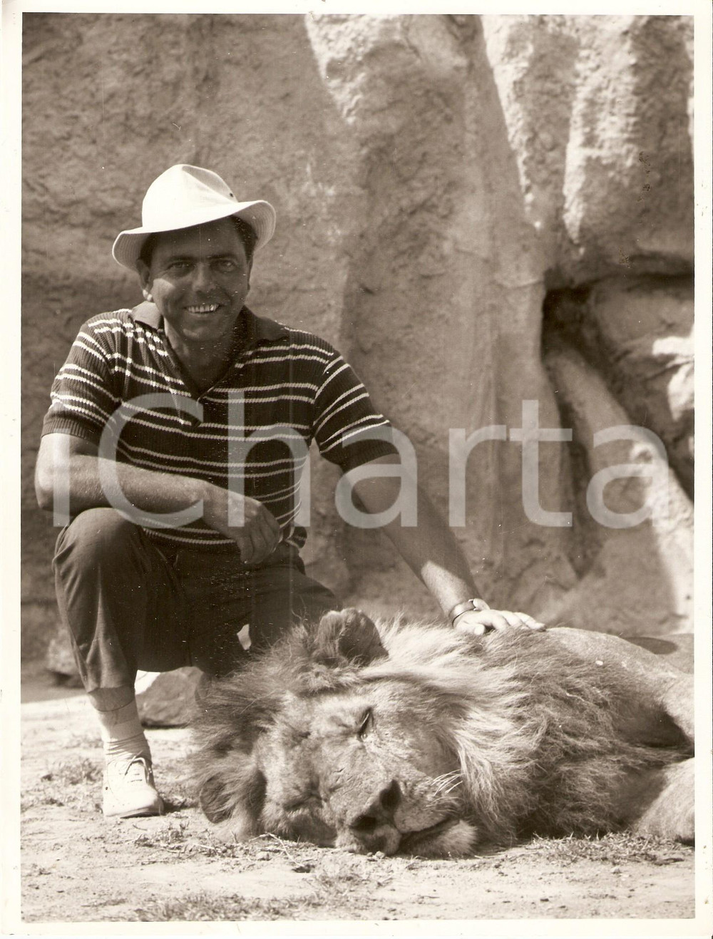 Fotografia d epoca originale 1955 ca CINEMA ITALIANO Piero NUCCORINI Ritratto con leone Foto 18 x 24 cm 1