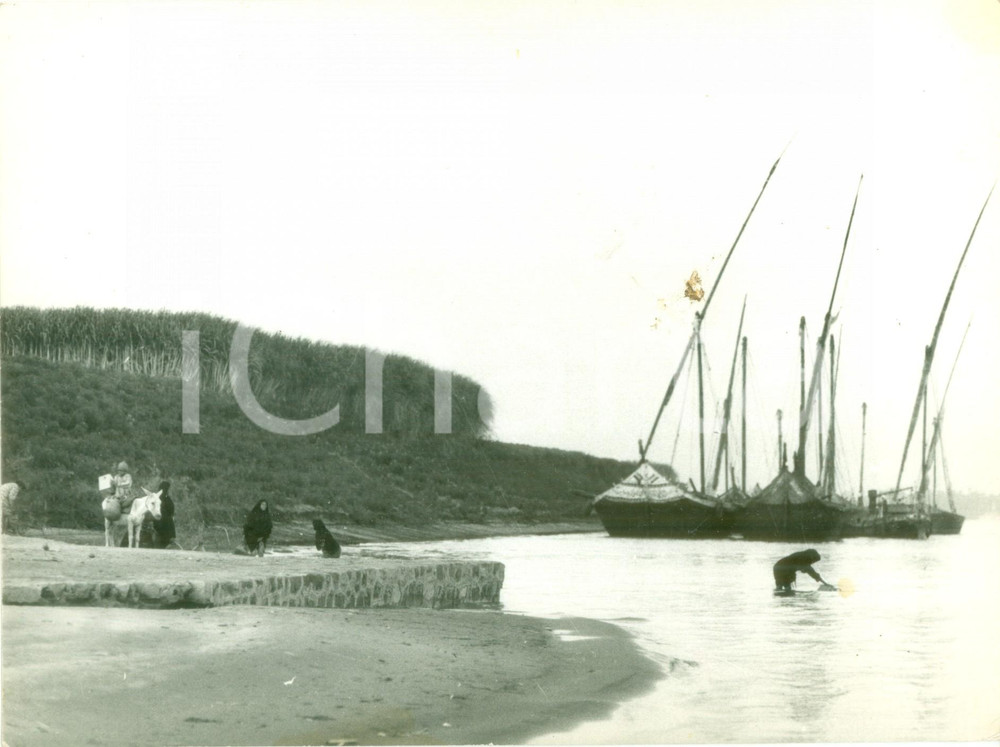 Fotografia d epoca originale 1950 ca IL CAIRO EGITTO Donne scendono al mare a prendere l acqua Fotografia 1