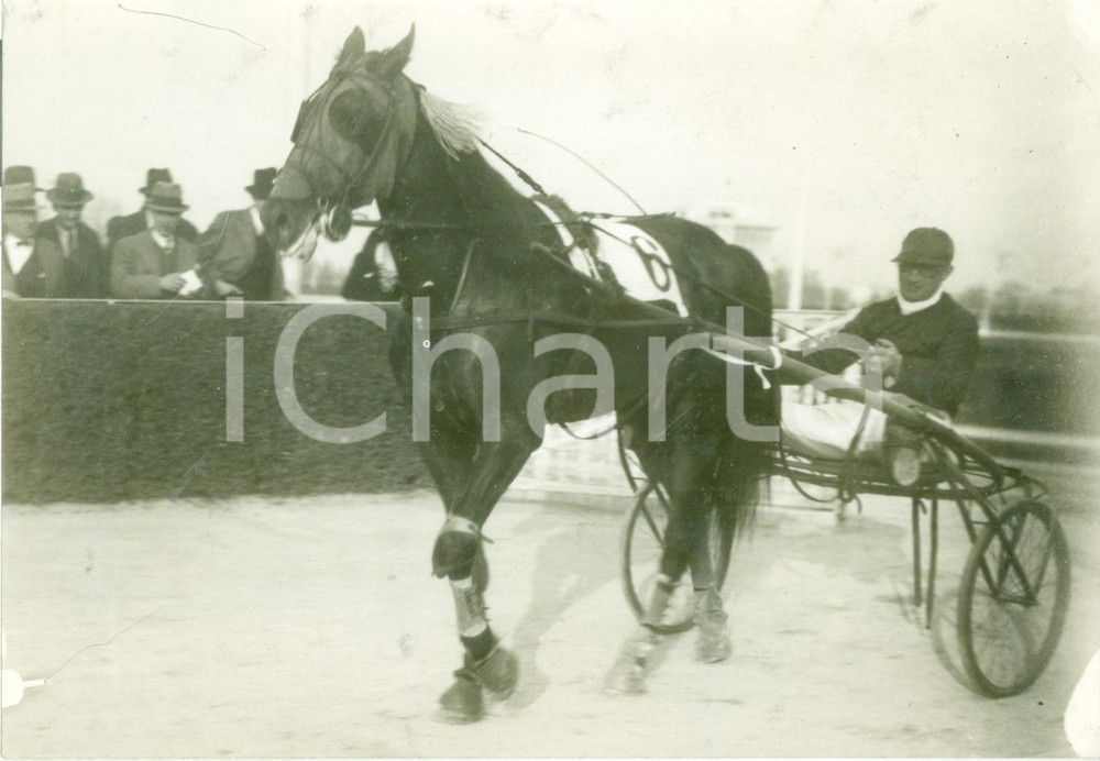 Fotografia d epoca originale 1937 MILANO IPPICA Fantino VIOTTI vince il Premio Nazionale Fotografia 1