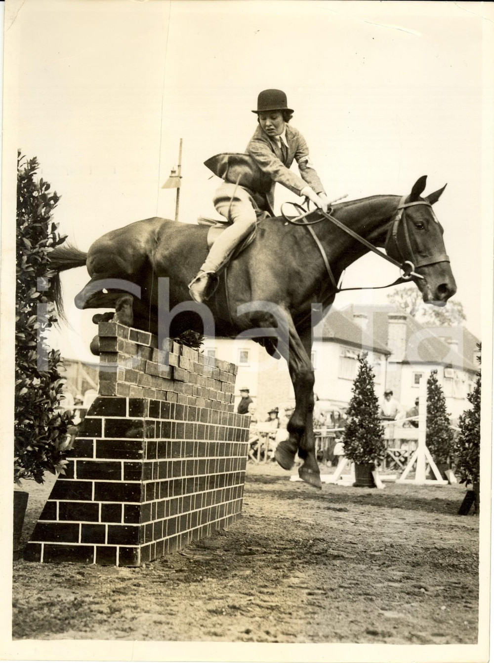 Fotografia d epoca originale 1937 LONDON Open Mounted Gymkhana Miss CARPENTER fallisce il salto DANNEGGIATA 1