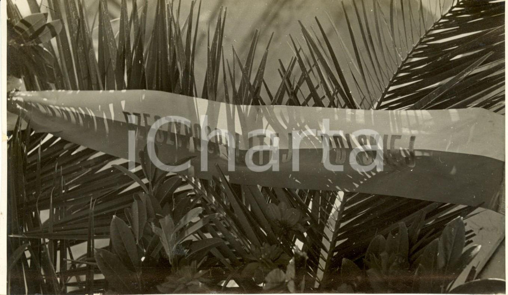 Fotografia d epoca originale 1936 ROMA Corona d alloro deposta da delegazione POLONIA a tomba Milite Ignoto 1