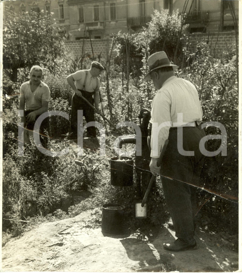 Fotografia d epoca originale 1941 MILANO Autarchia  Operai lavorano negli orti loro destinati DANNEGGIATA 1