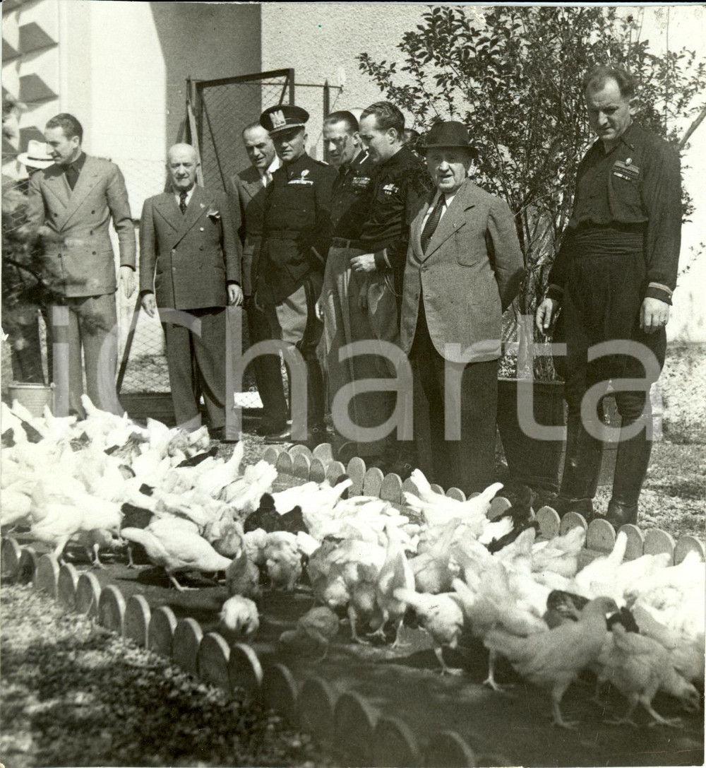 Fotografia d epoca originale 1941 MILANO Fiera Campionaria  Visita autoritÃ  all allevamento dei polli Foto 1