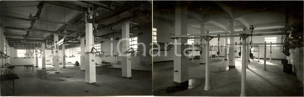 Fotografia d epoca originale 1934 BENGASI Libia Reparti bovini del nuovo macello FOTO DOPPIA 1