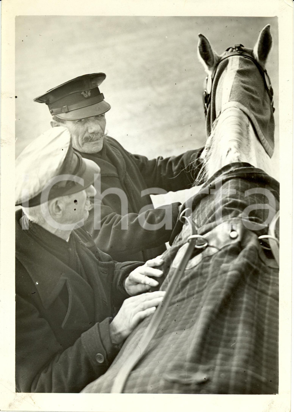 Fotografia d epoca originale 1939 MILANO BRUMISTI infreddoliti si scaldano toccando un cavallo Fotografia 1