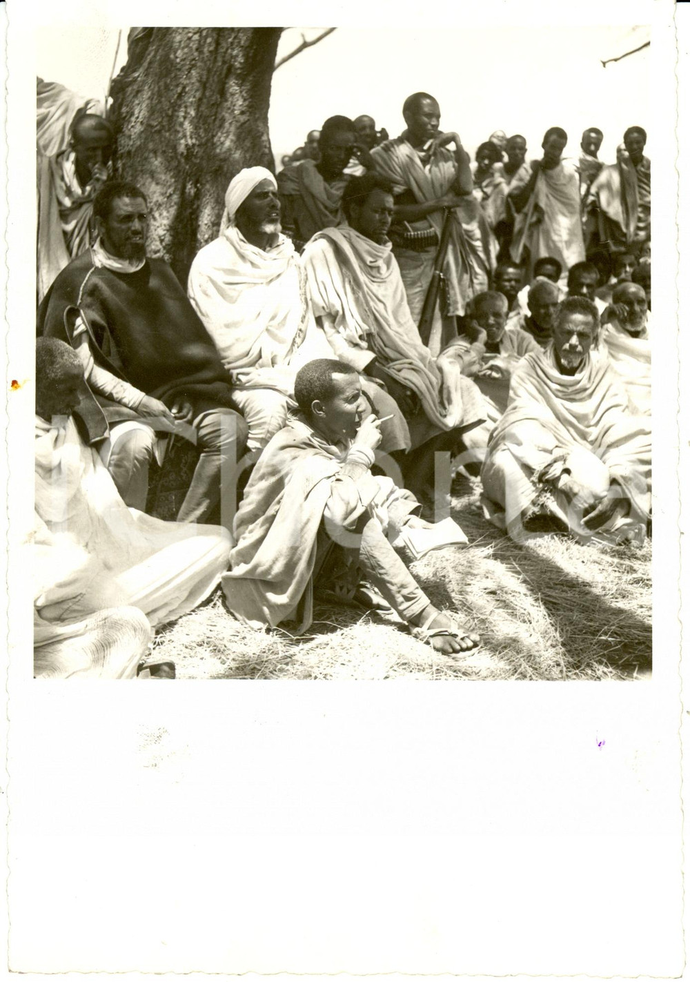 Fotografia d epoca originale 1939 ASMARA Eritrea Abdel UAB HAMED Capo GALLA film Abuna Messias Foto scena 1