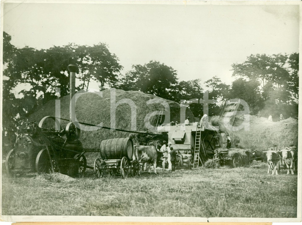 Fotografia d epoca originale 1930 ca UNGHERIA Raccolta meccanizzata del fieno FOTOGRAFIA 1