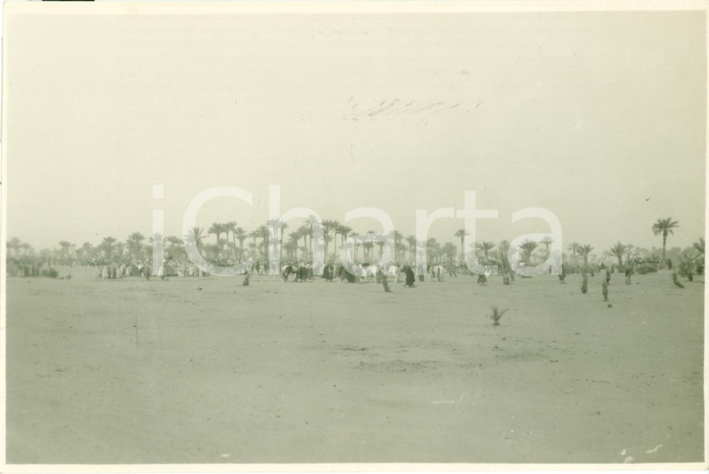 Fotografia d epoca originale 1930 UMMELARANEB LIBIA Marcia Colonna GRAZIANI nel deserto Fotografia 1