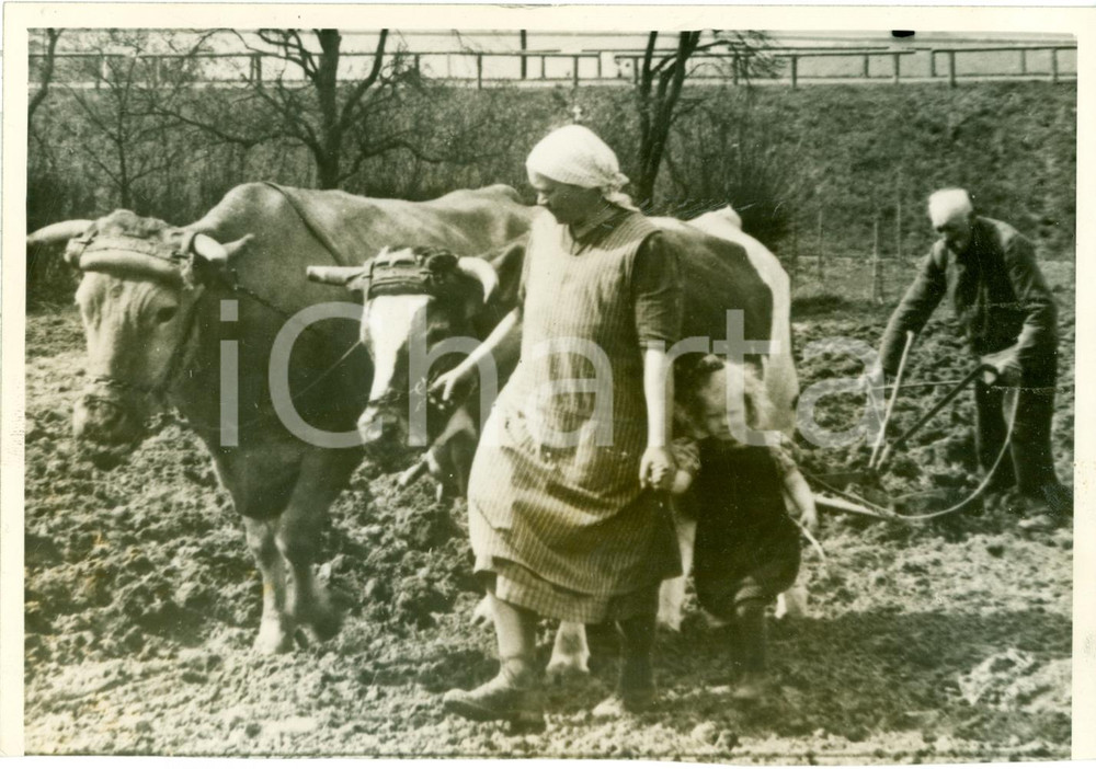 Fotografia d epoca originale 1943 GERMANIA WW2 Contadine nei campi Propaganda tedesca di guerra Foto 1