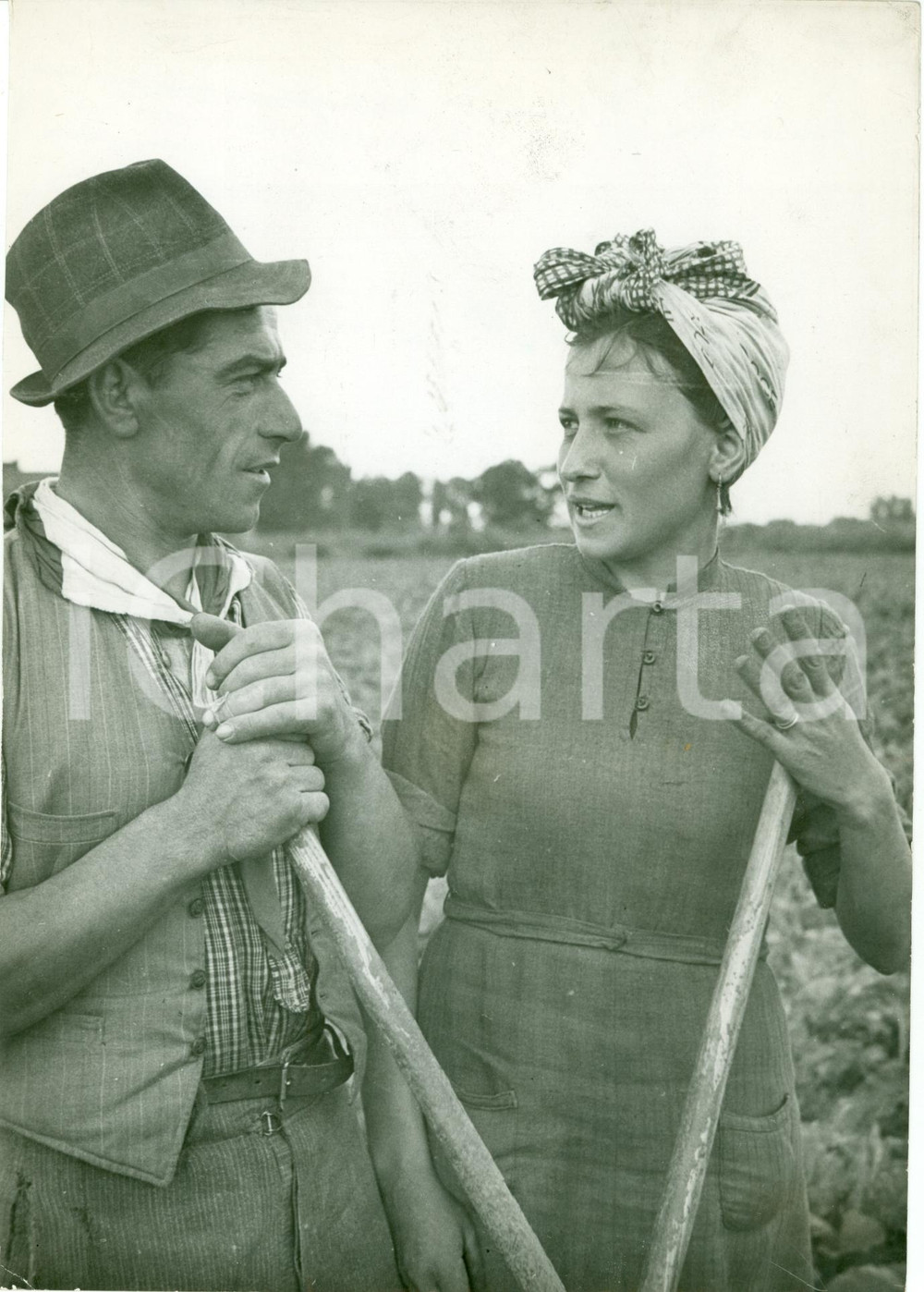 Fotografia d epoca originale 1943 GERMANIA WW2 Contadini italiani lavorano i campi tedeschi FOTOGRAFIA 1