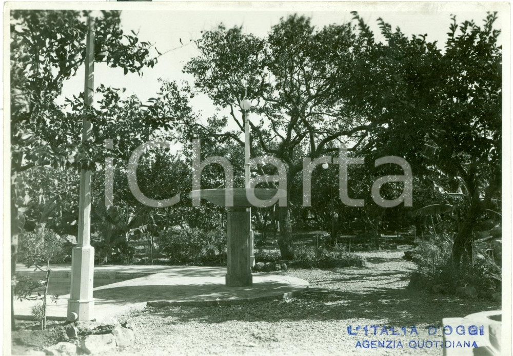 Fotografia d epoca originale 1935 ca BENGASI LIBIA Impianto elettrico giardino CASINA DEL LETE Foto 1