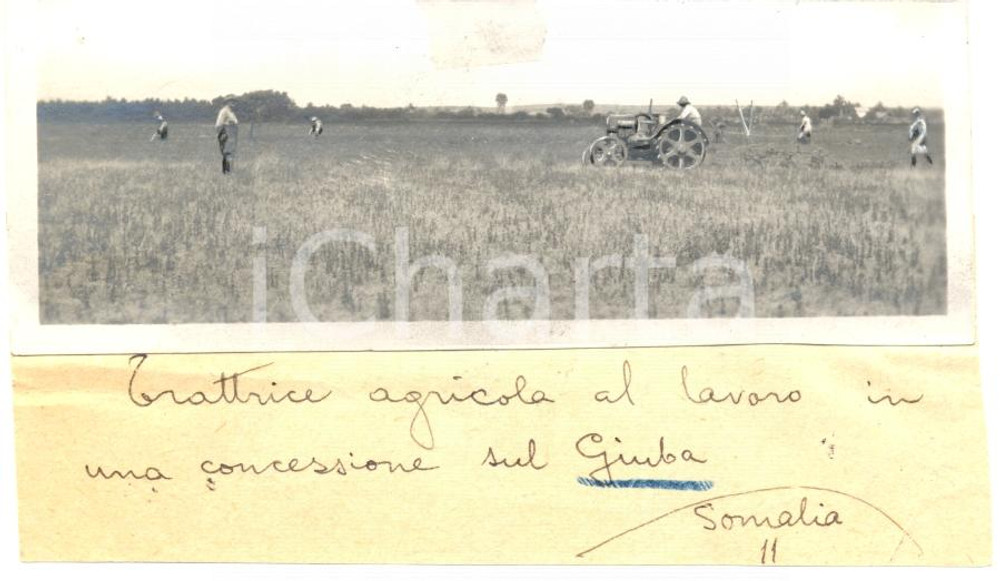Fotografia d epoca originale 1936 GIUBA SOMALIA AOI Trattrice agricola al lavoro in concessione di coloni 1