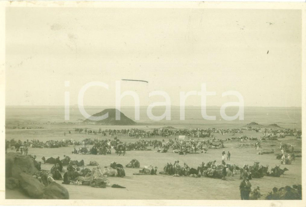 Fotografia d epoca originale 1931 CUFRA LIBIA Carovana di truppe su cammello in sosta nel deserto Foto 1