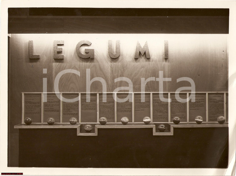 Fotografia d epoca originale 1937 Africa Orientale Italiana, mostra agricola LEGUMI 1