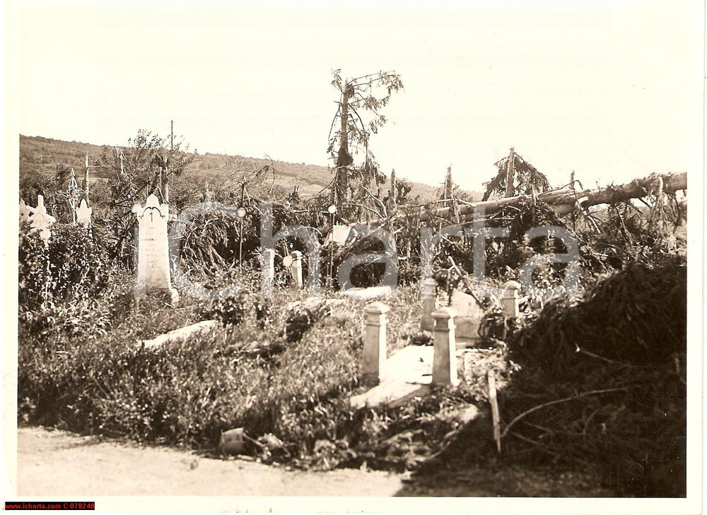 Fotografia d epoca originale 1930 VOLPAGO TV Cimitero distrutto da ciclone FOTO 1