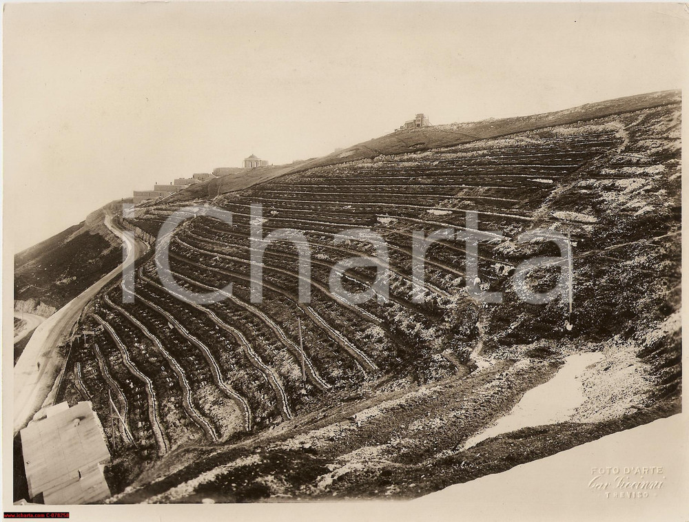 Fotografia d epoca originale 1937 CIMA GRAPPA Rimboschimento MILIZIA FORESTALE Foto 1