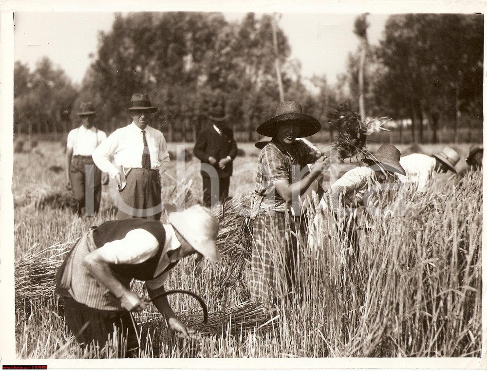 Fotografia d epoca originale 1935 Lodi Agricoltura  Battaglia del Grano Vera Foto 1
