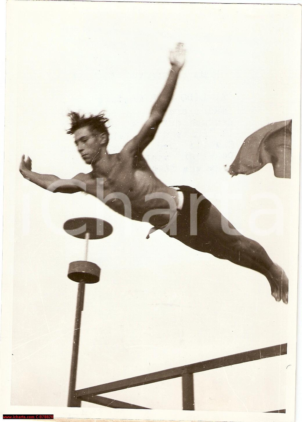 Fotografia d epoca originale 1939 Venezia SCHIRMANN Gabbiano Umano TUFFI Foto 1