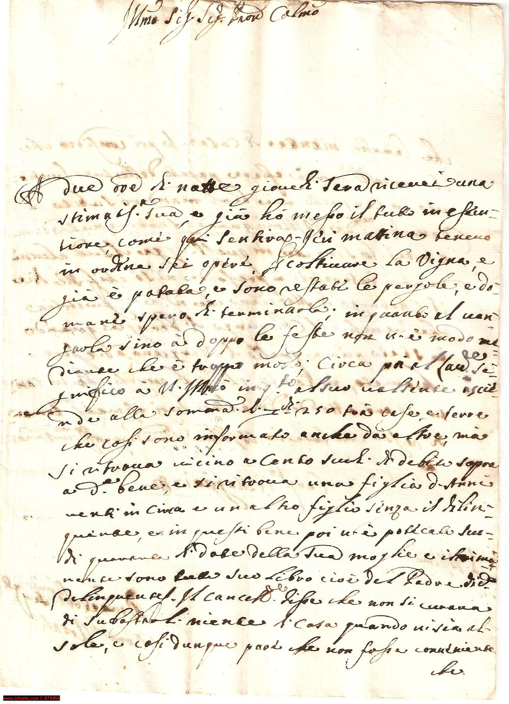 Manoscritto, lettera originale 1742 MARSCIANO PG Lite tra chirurghi per la precedenza Lettera 1