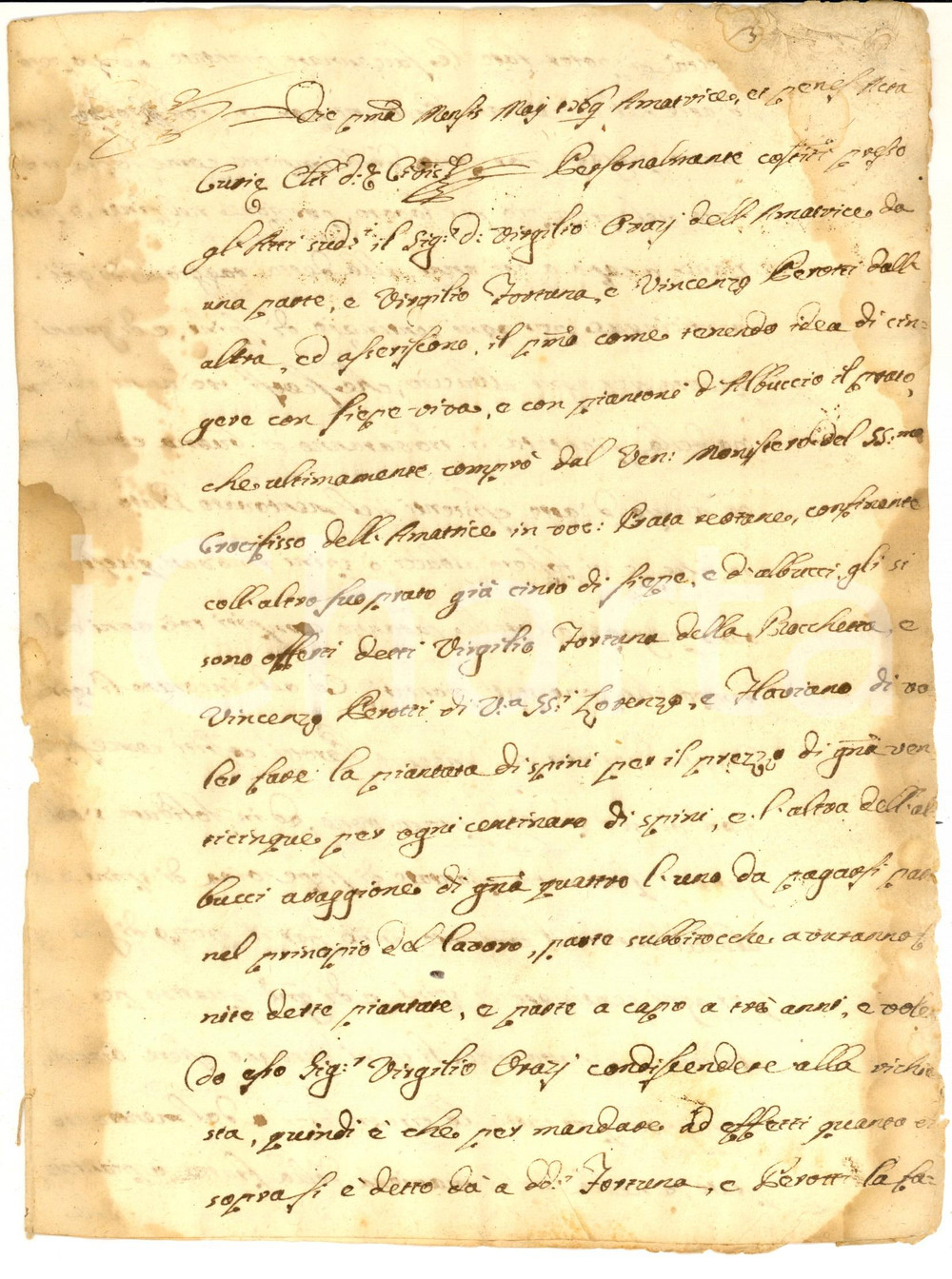 Documento originale, autentico 1769 AMATRICE Contratto Virgilio FORTUNA e Vincenzo PEROTTI per piantare siepe 1