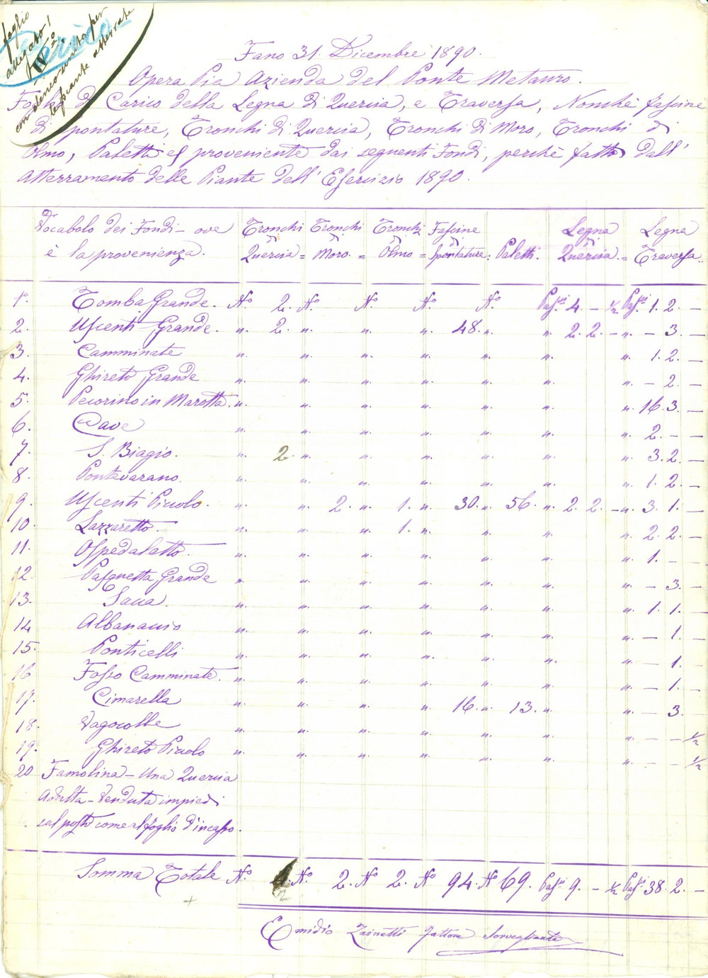 Documento originale, autentico 1890 FANO PU Azienda PONTE METAURO Piante atterrate PONTEVARANO MARCIGNANO 1