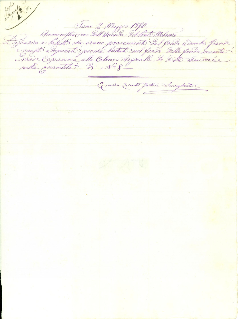 Documento originale, autentico 1890 FANO PU Azienda PONTE METAURO Paletti per capanna colonia VAGOCOLLE 1