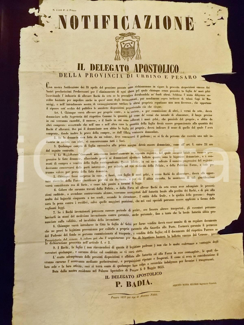 Documento originale, autentico 1853 STATO PONTIFICIO PESARO Denuncia per allevamento bachi da seta MANIFESTO 1