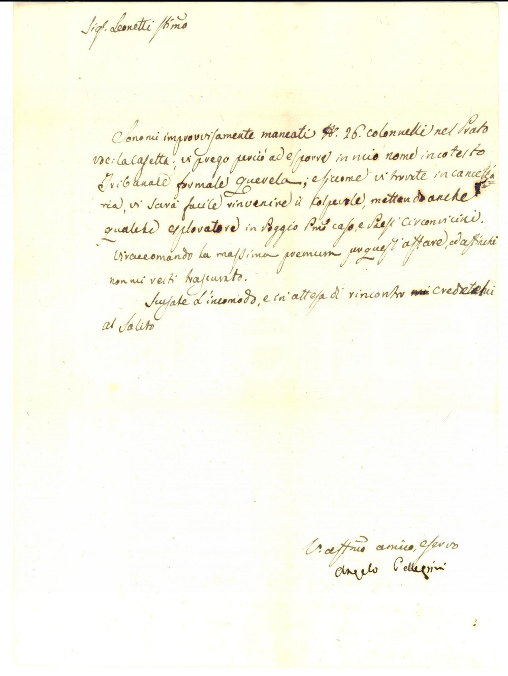 Manoscritto, lettera originale 1800 ca ROMA Angelo PELLEGRINI derubato di 26 colonnelli nel prato LA CASETTA 1