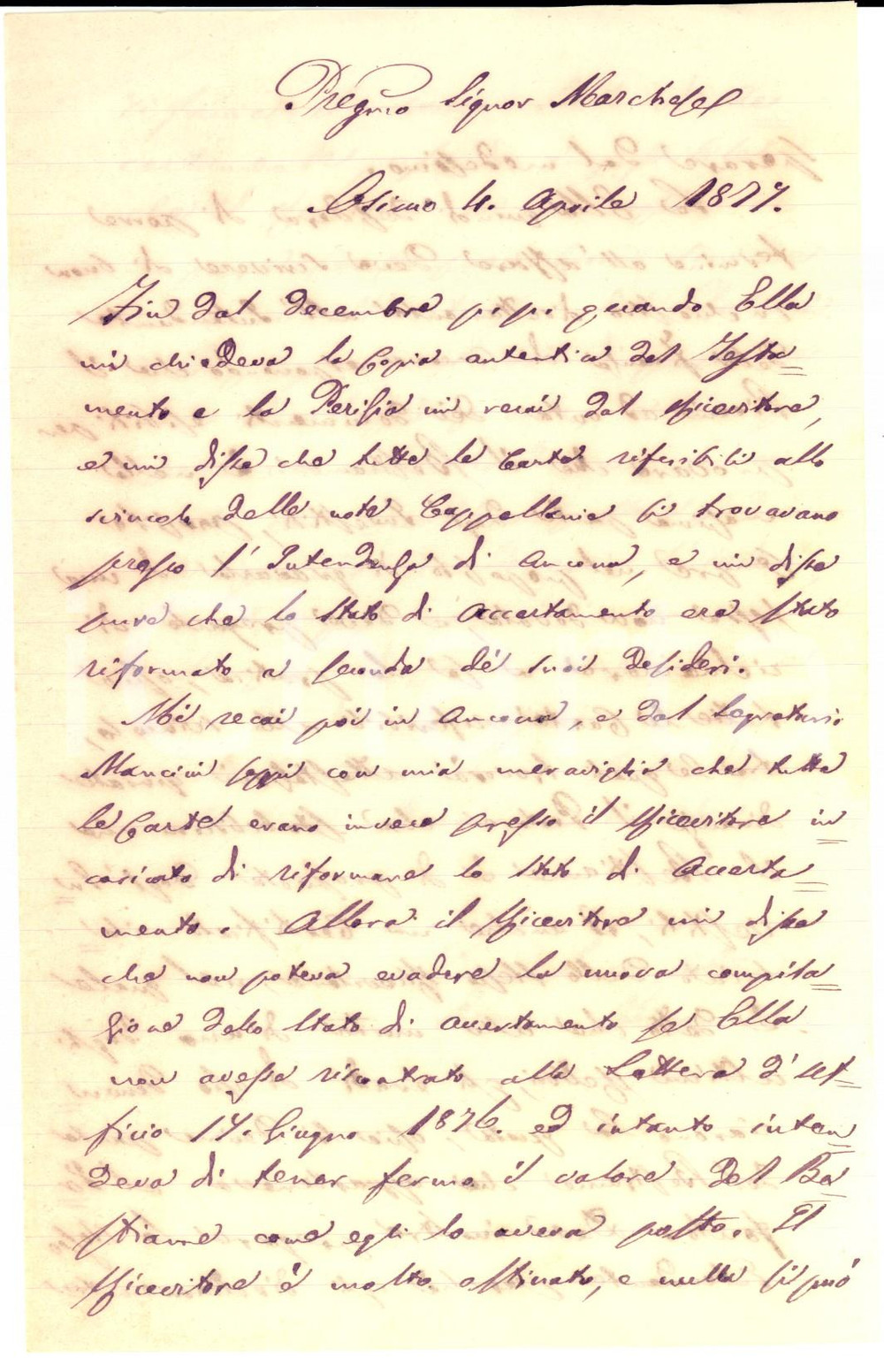 Manoscritto, lettera originale 1877 OSIMO AN Notaio Erasmo BUONANOTTE sugli errori della burocrazia Lettera 1