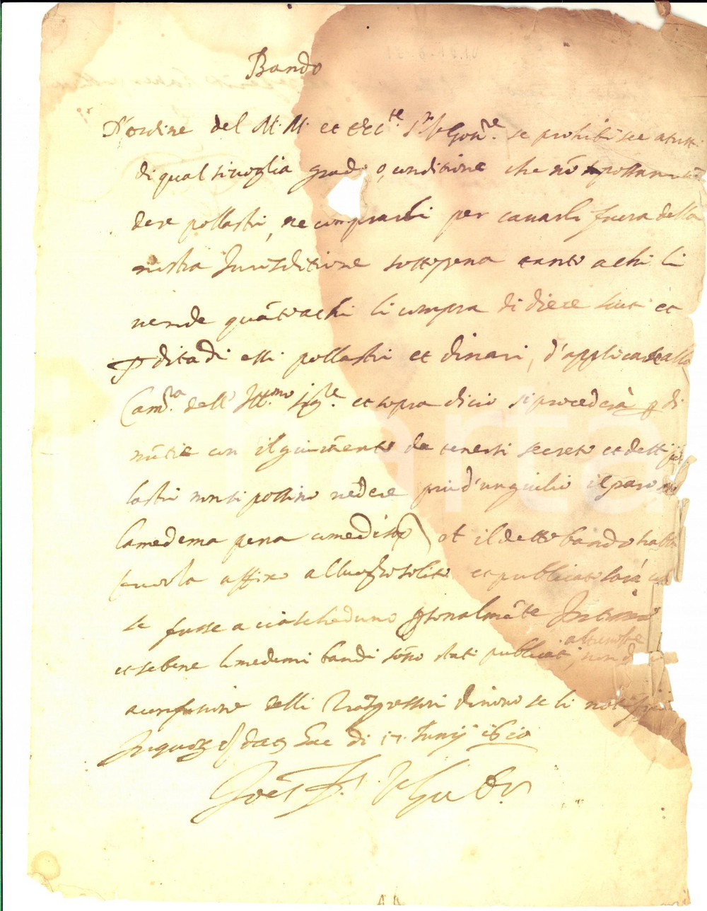 Documento originale, autentico 1610 POGGIO CATINO Bando che vieta la compravendita di pollame Manoscritto 1