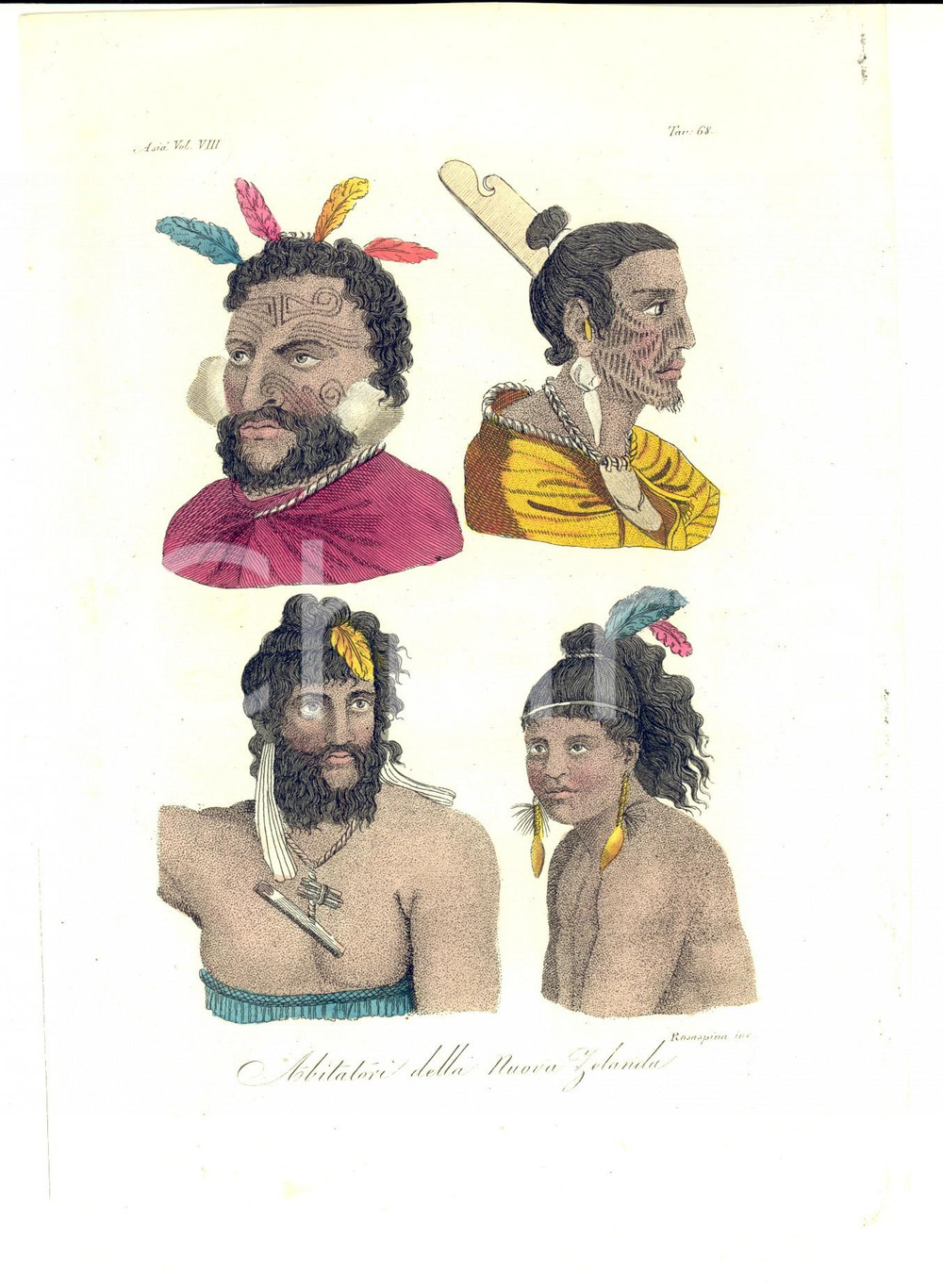 Stampa, bozzetto originale 1830 ca FERRARIO COSTUME ASIA Abitatori della Nuova Zelanda Incisione ROSASPINA 1