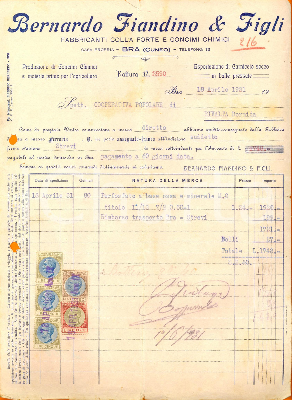 Documento originale, autentico 1931 BRA CN Bernardo FIANDINO & FIGLI  Fabbrica colla e concimi chimici 1