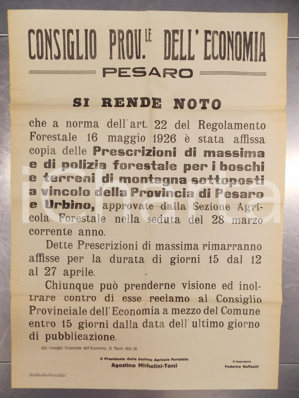 Documento originale, autentico 1931 PESARO Affissione prescrizioni di POLIZIA FORESTALE Manifesto 50 x 70 cm 1
