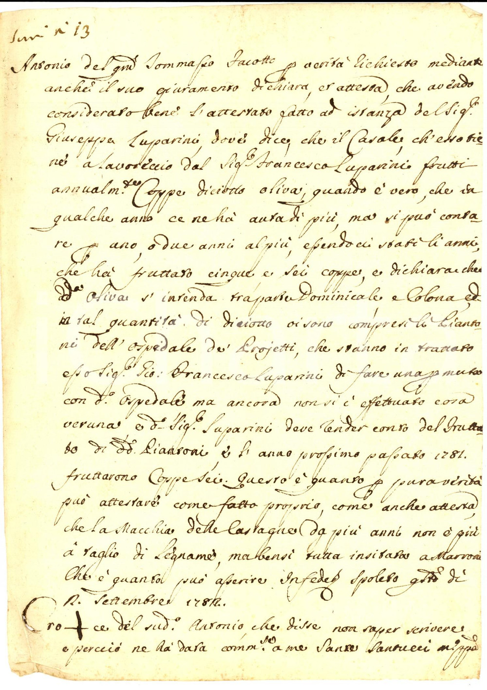 Documento originale, autentico 1782 SPOLETO PG Testimonianza di Antonio FACOTTO sulle olive di un casale 1